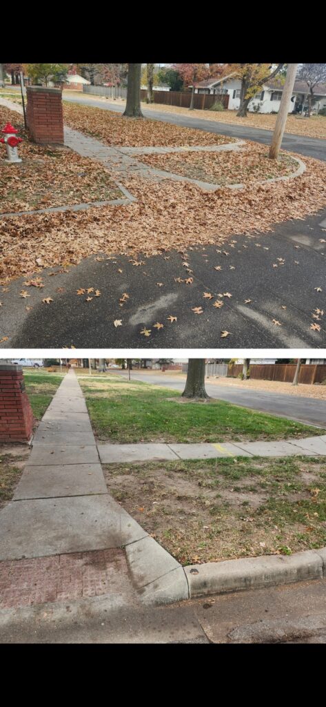 Fall cleanup before and after - Wichita lawn