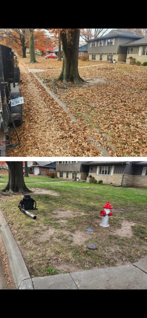 Leaf cleanup before and after - Wichita KS