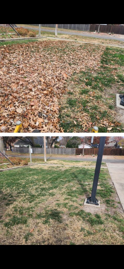 Fall leaf removal before and after - Wichita KS