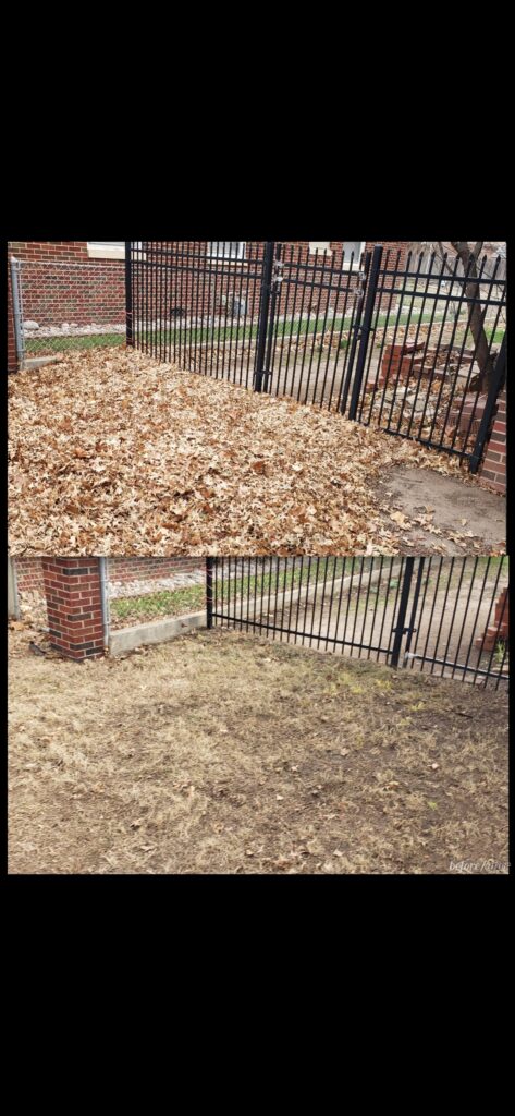Fall yard cleanup results - Wichita KS