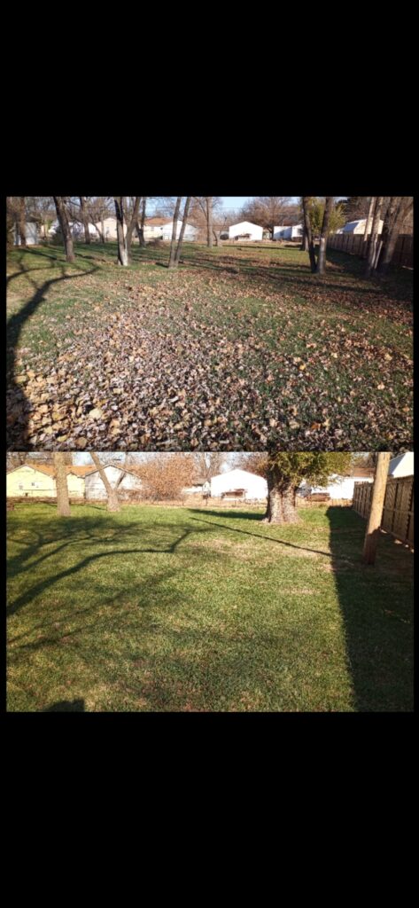 Fall cleanup transformation - Wichita KS